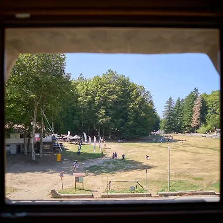 La - Monte Amiata - Apartment *